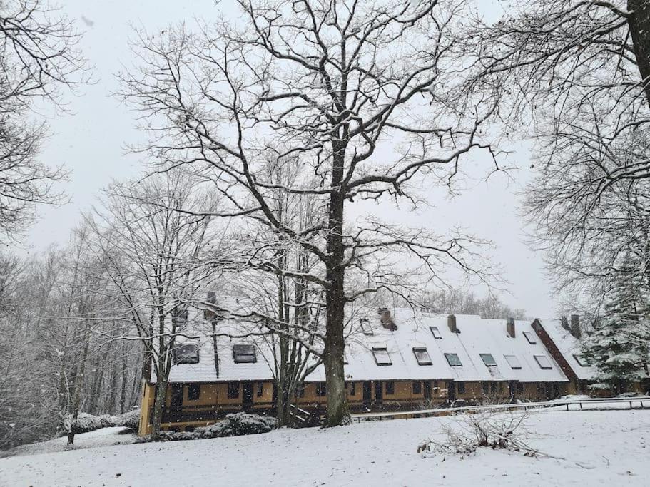 Appartement Au Calme Dans Residence Avec Piscine Boersch Exteriör bild